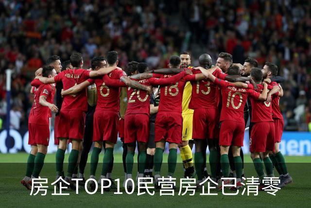房企TOP10民营房企已清零